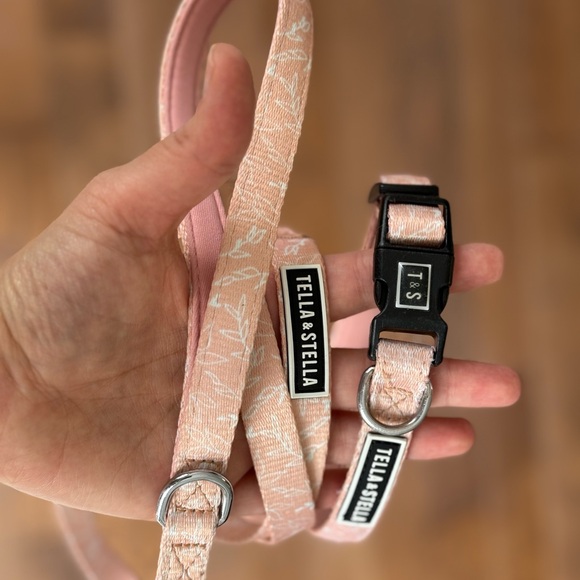 Stella and Tella Collar and Matching Leash (small) - Picture 2 of 2